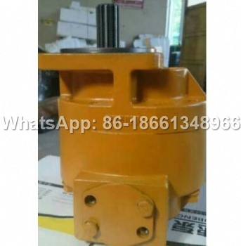 SEM WORKING PUMP W066900000B.jpg